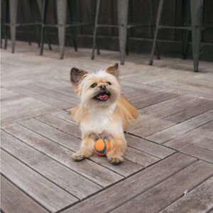 Meet your Posher, Esa